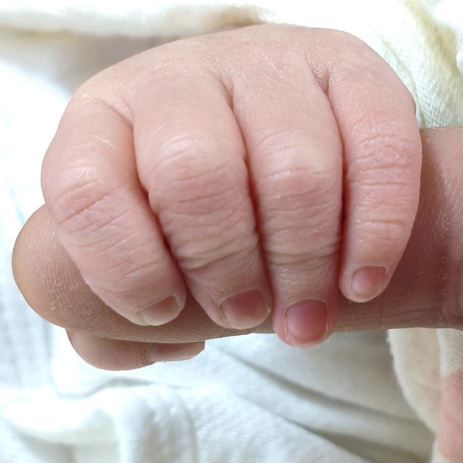 🇨🇳💖TREK寶寶💖