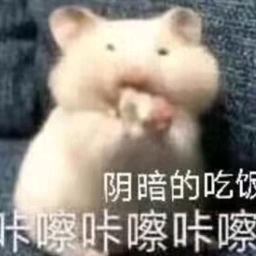 欠揍收人