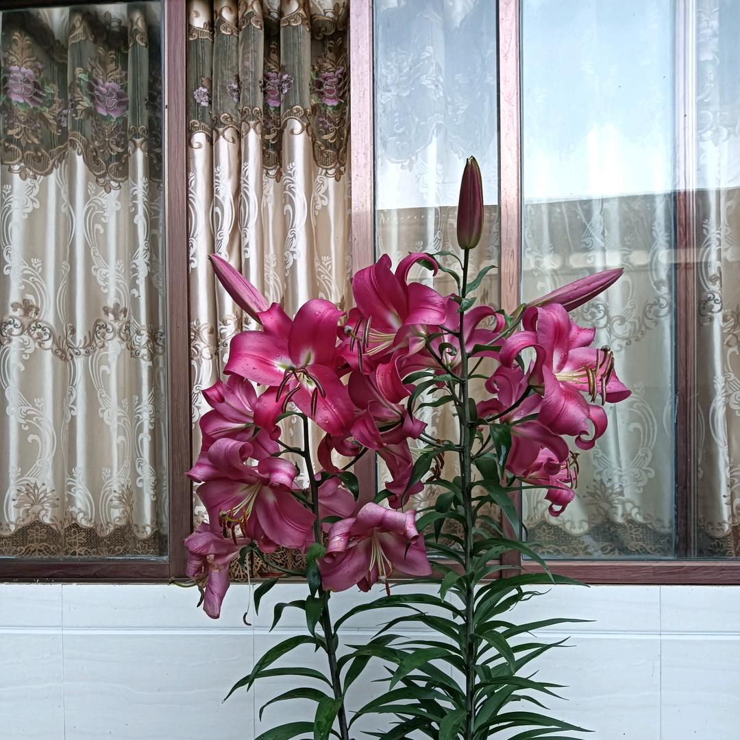 回忆再美好也只是曾经