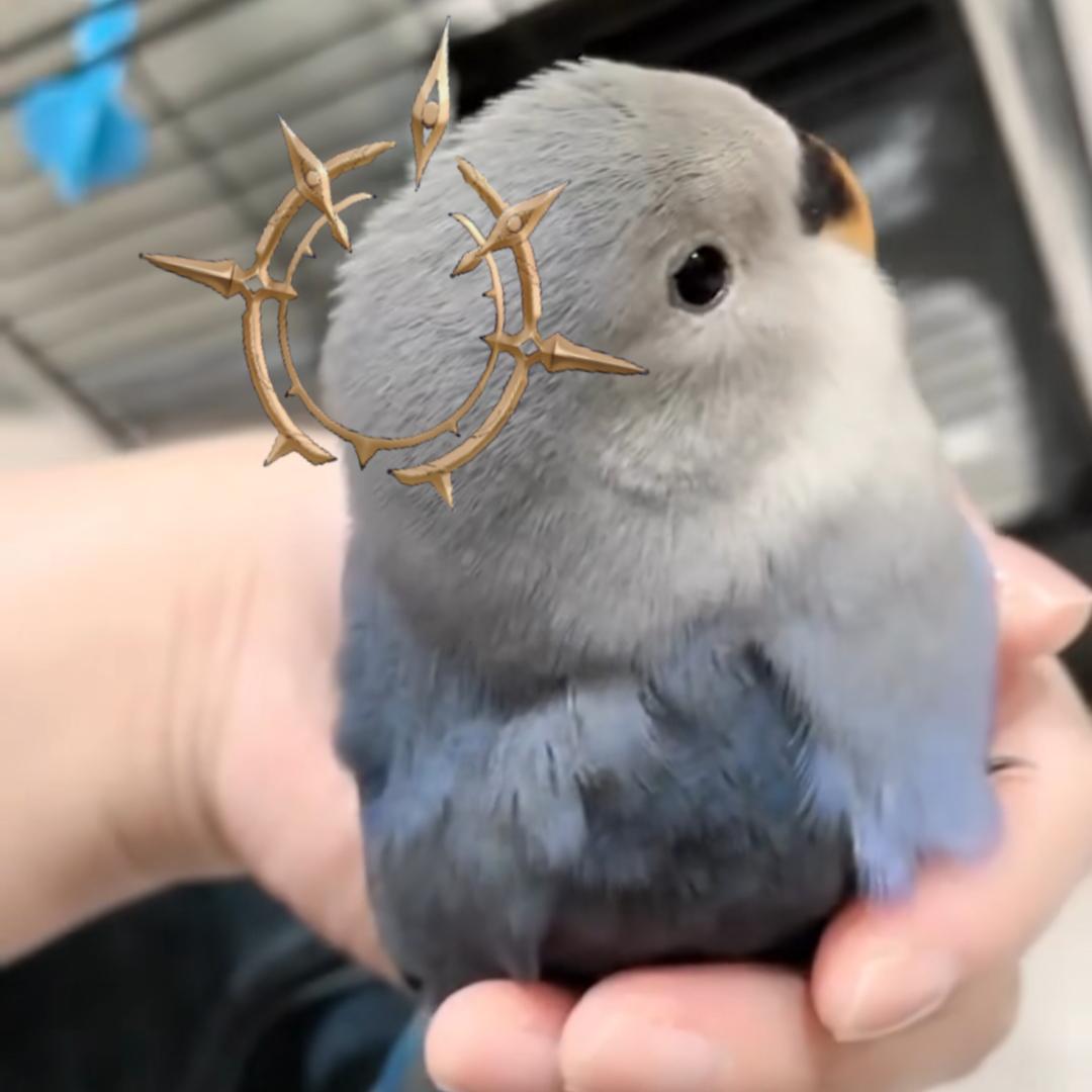 又活了一天！（睡不醒版）