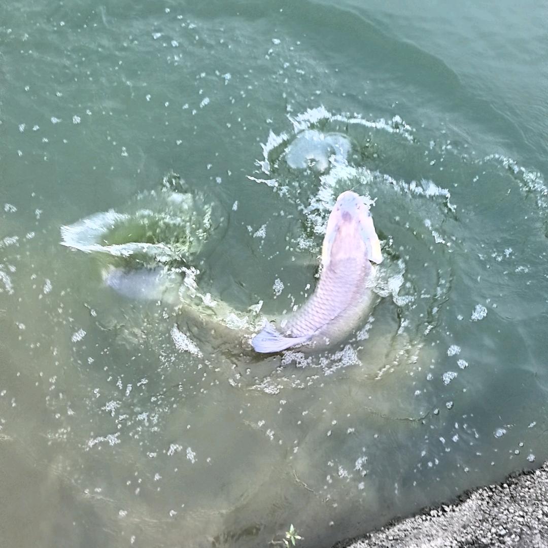 长泰圆梦大物塘