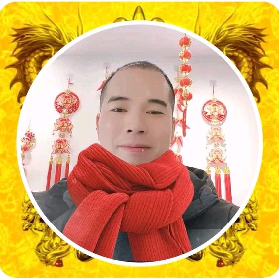大龙