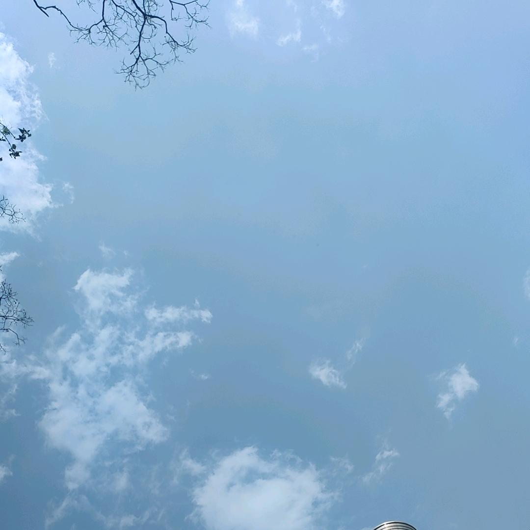 陈％氏（小老表)