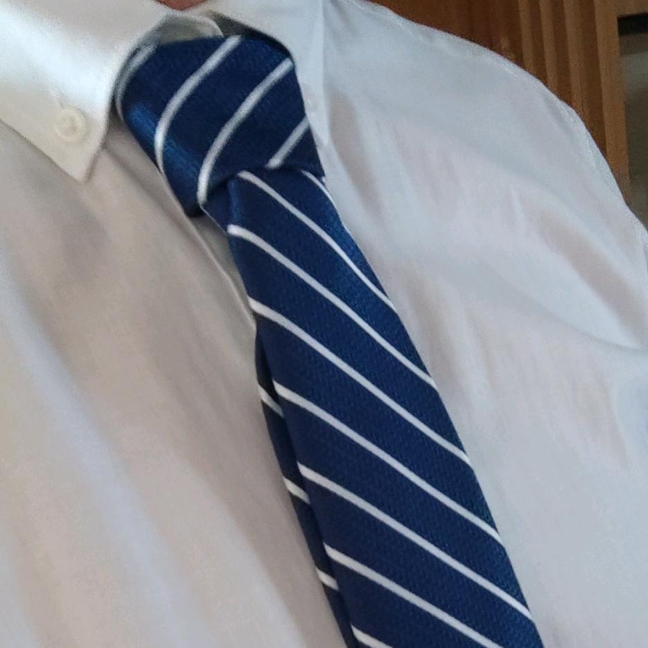 打游戏的怪鱼🌈