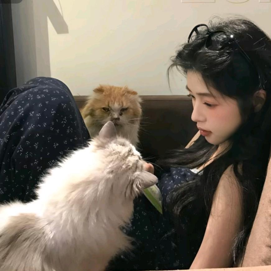 都都头像