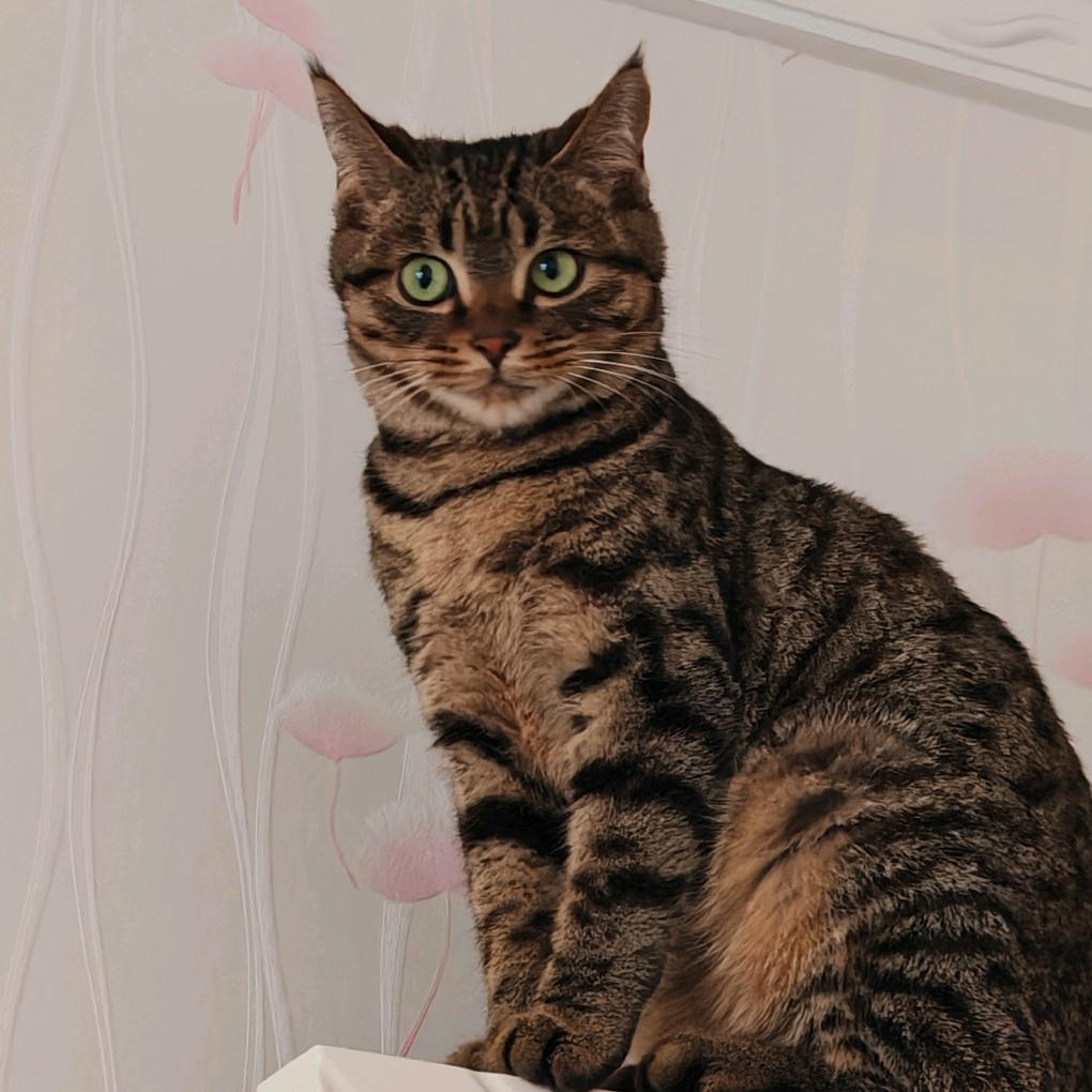 韦雪人（间清醒）