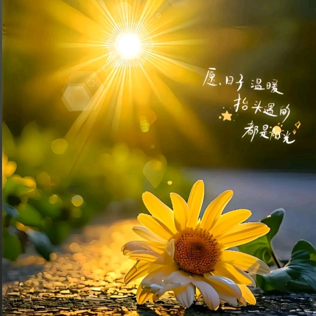 ℳঞ ໌້ᮨ清醒