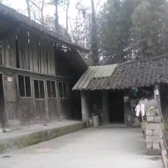 我拿青春换取生活费