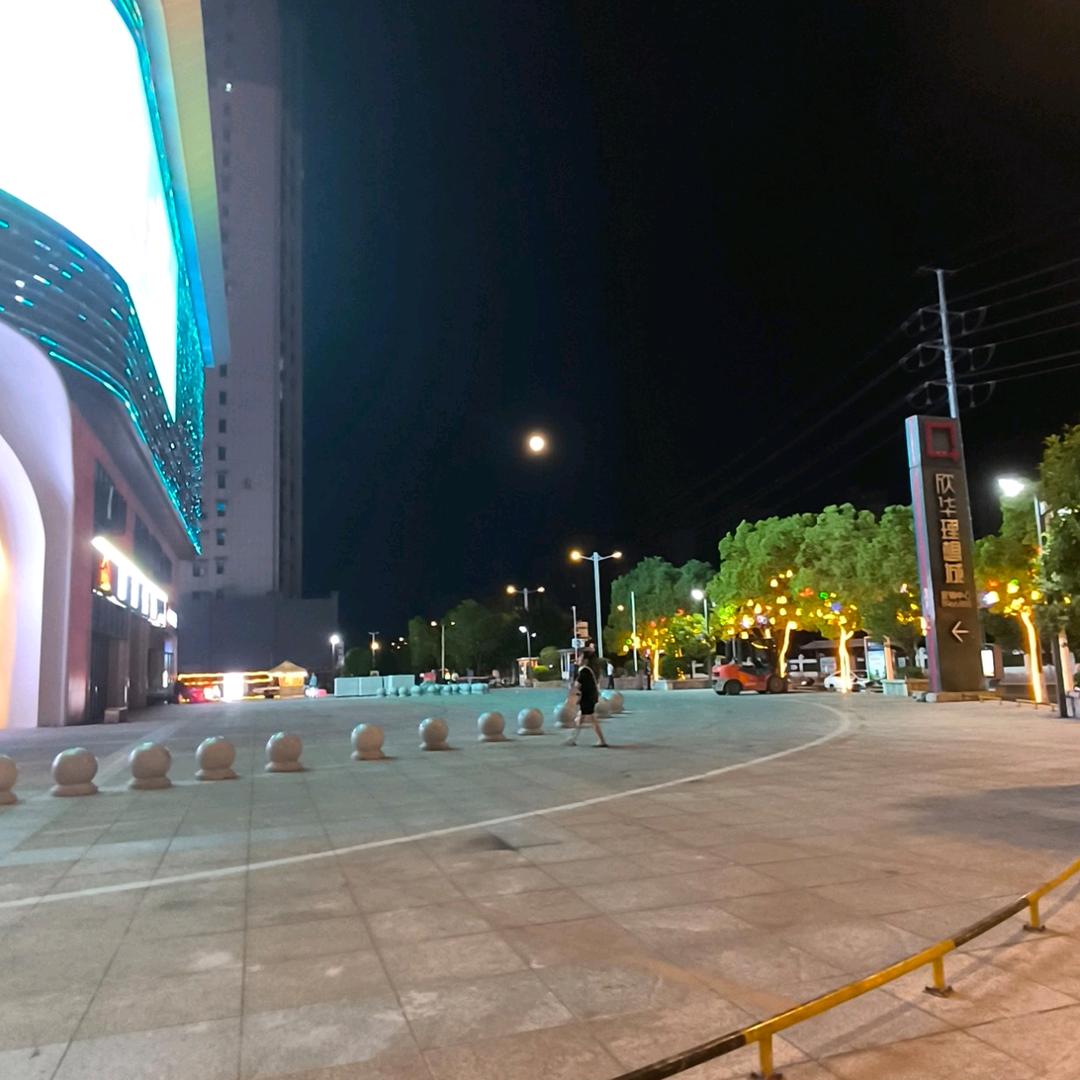 会飞的鱼