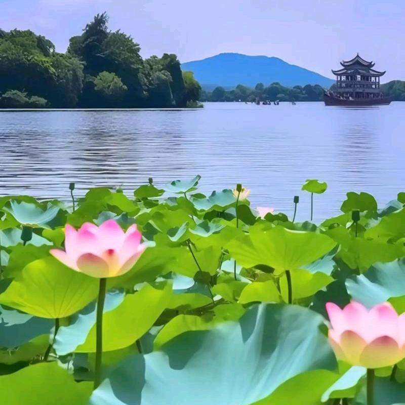 国学易经紫微