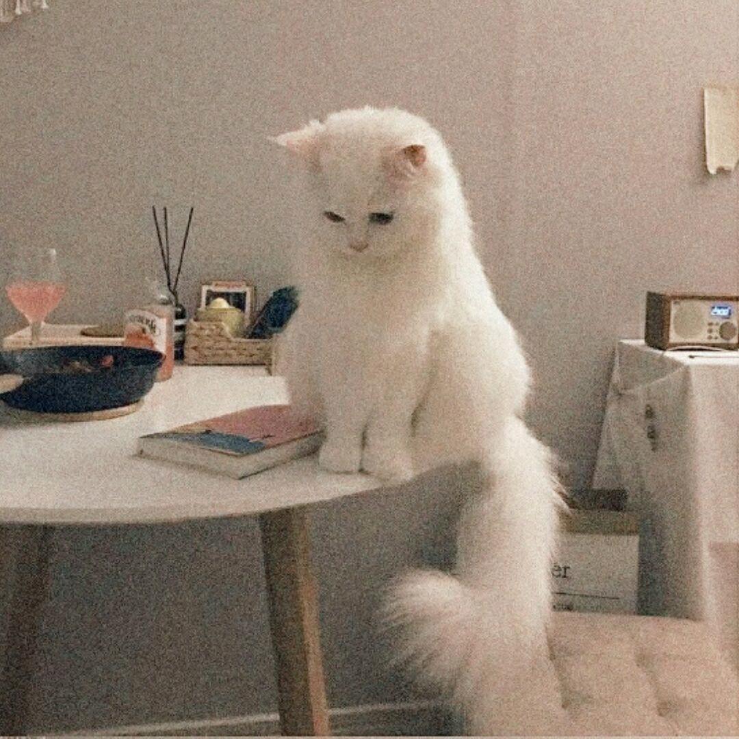 ♣楸辞辞辞Y.ヅ