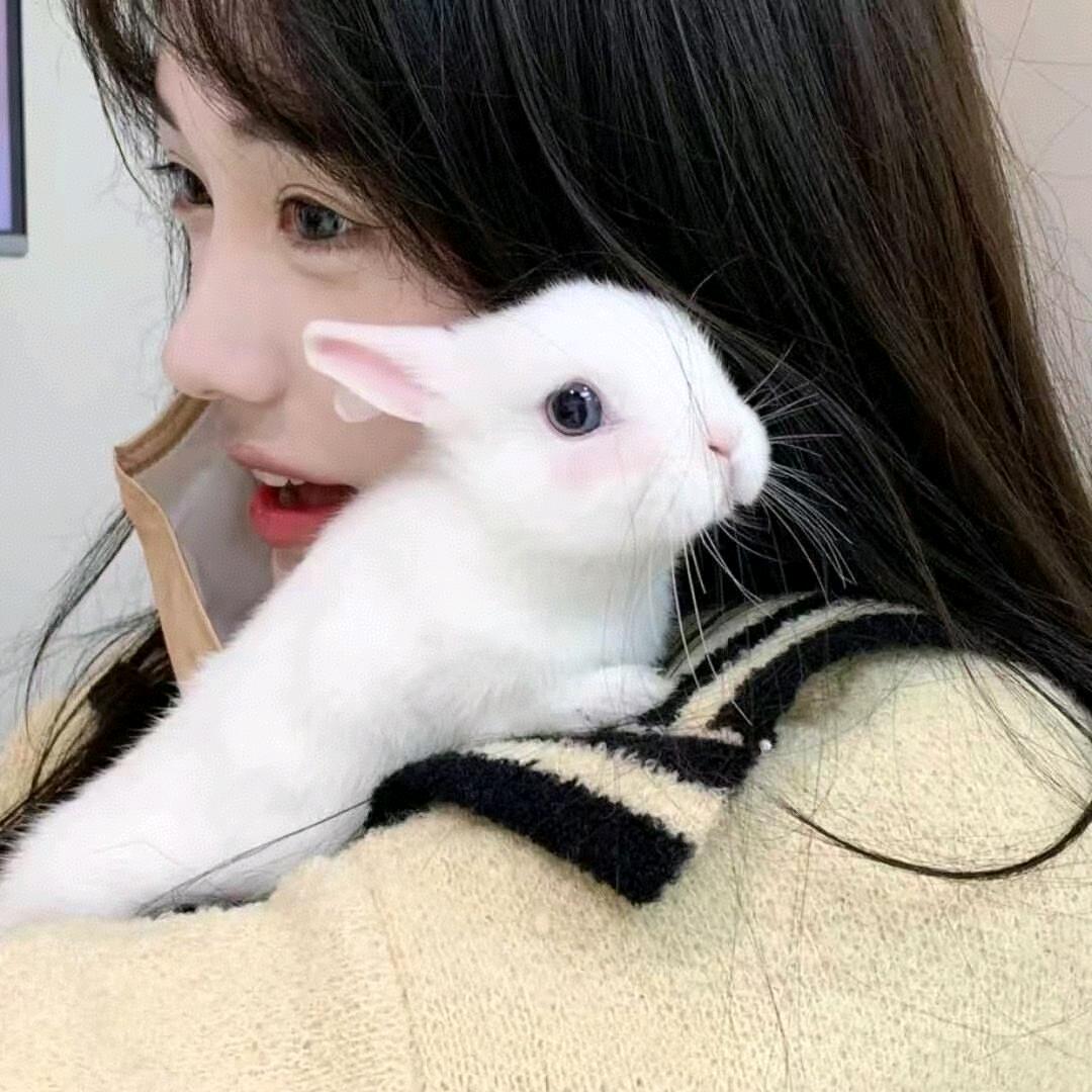 月光