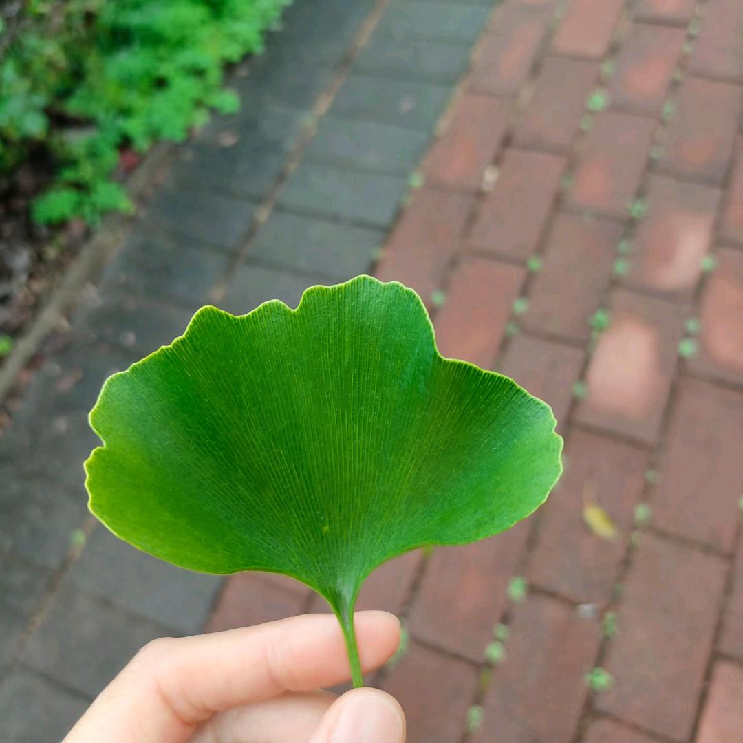 ！