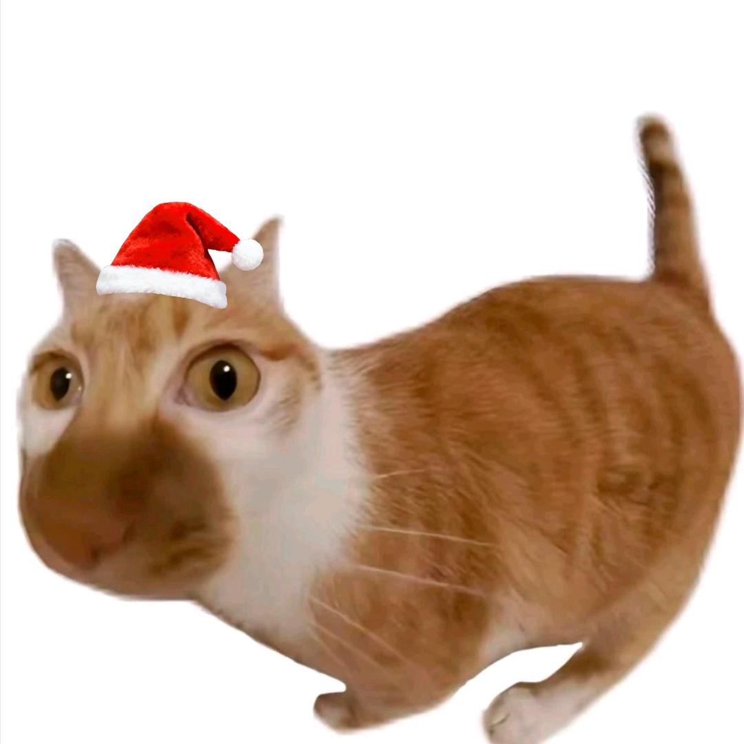 漂洋过海来见你