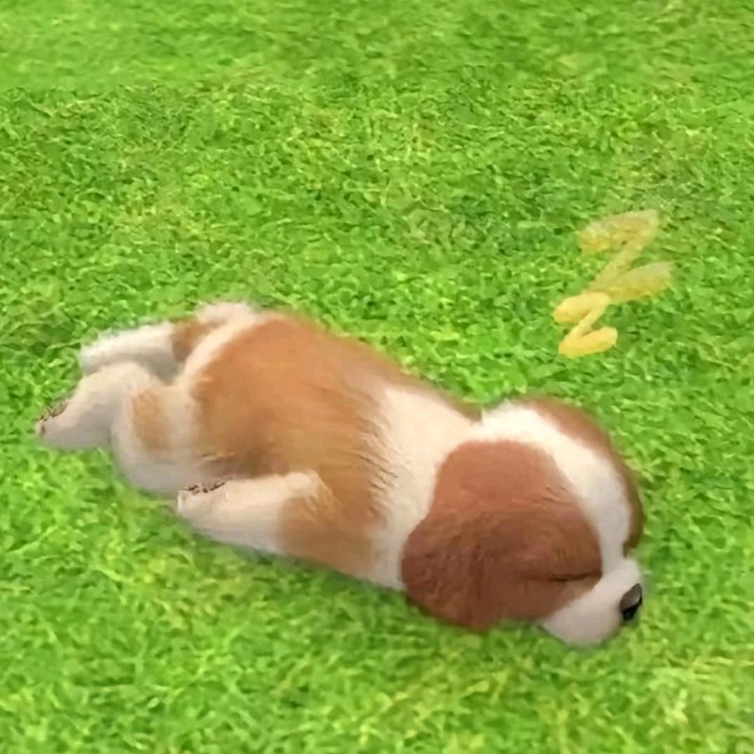 雨季^