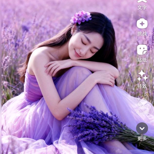 无心心心