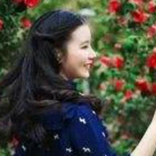 木木美拍