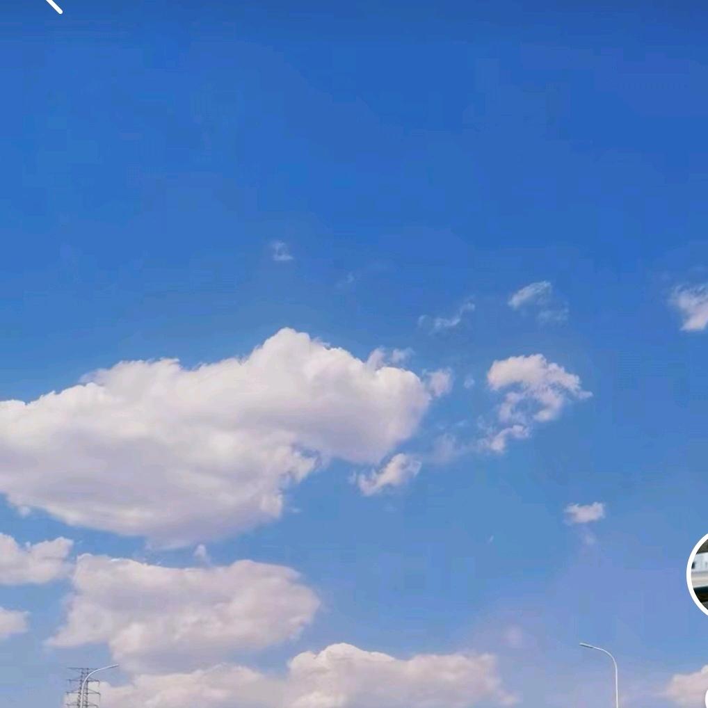 龙行天下