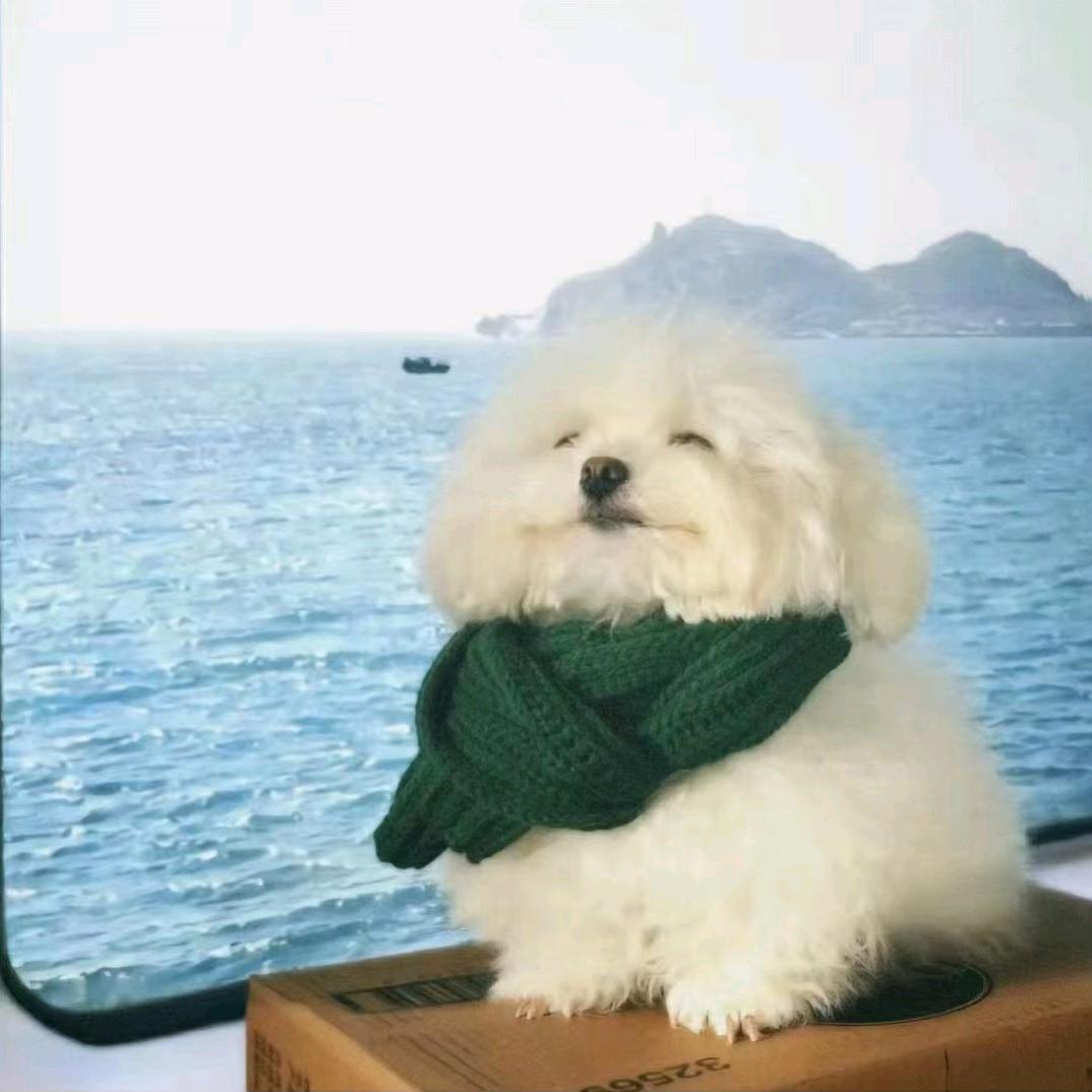 绍钧百货店