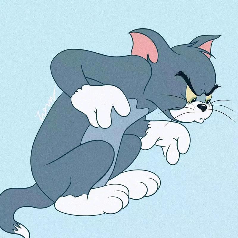 汤姆猫(三角洲行动）