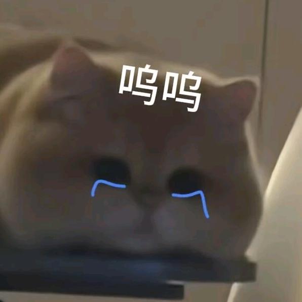 决战破晓小糖包