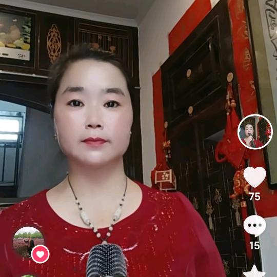 民歌阿凤
