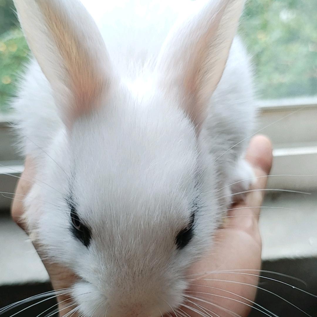 菲你不招