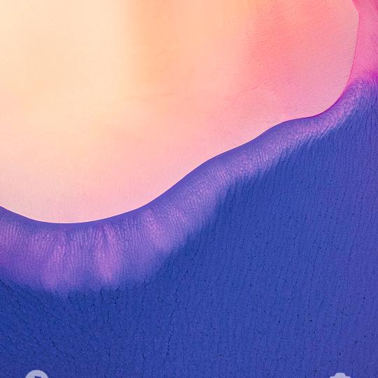 空白🍒
