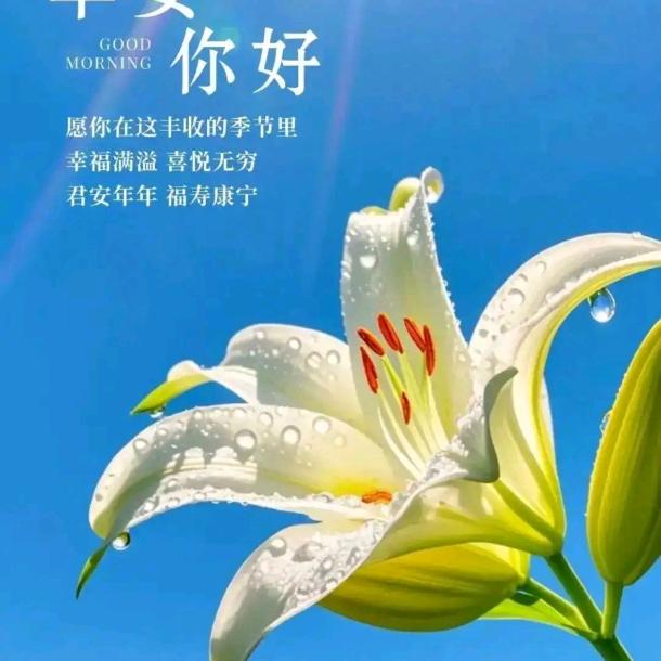 逢场作戏