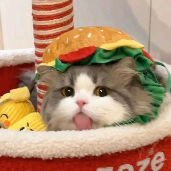 14号春森🦌（运动版）