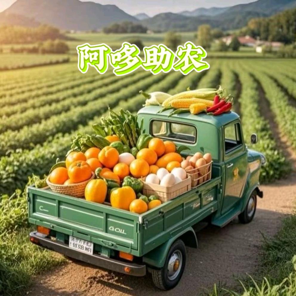 阿哆助农