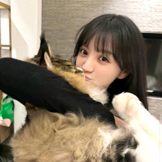 田不甜