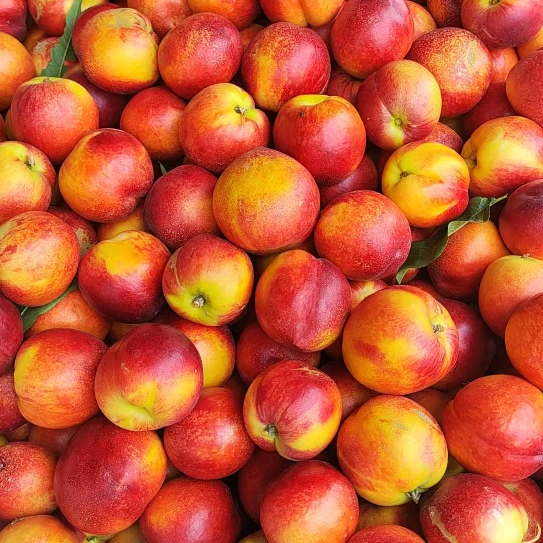 甄果园助农优选