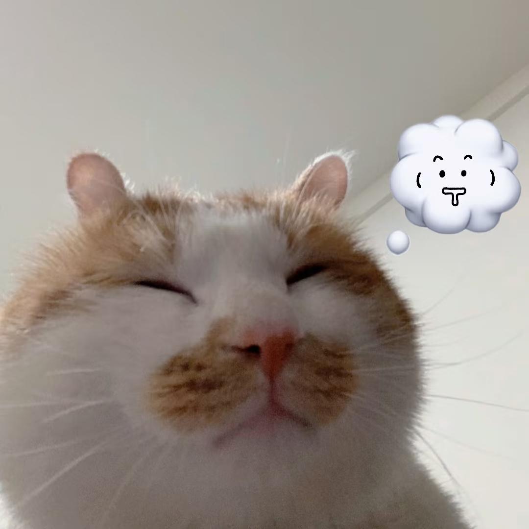 比奇堡甜甜圈🍩