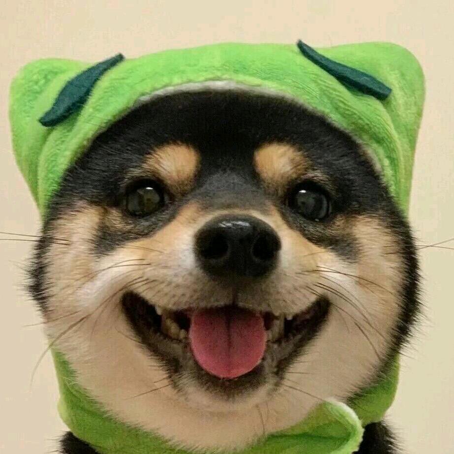 十二ʕ ᵔᴥᵔ ʔ