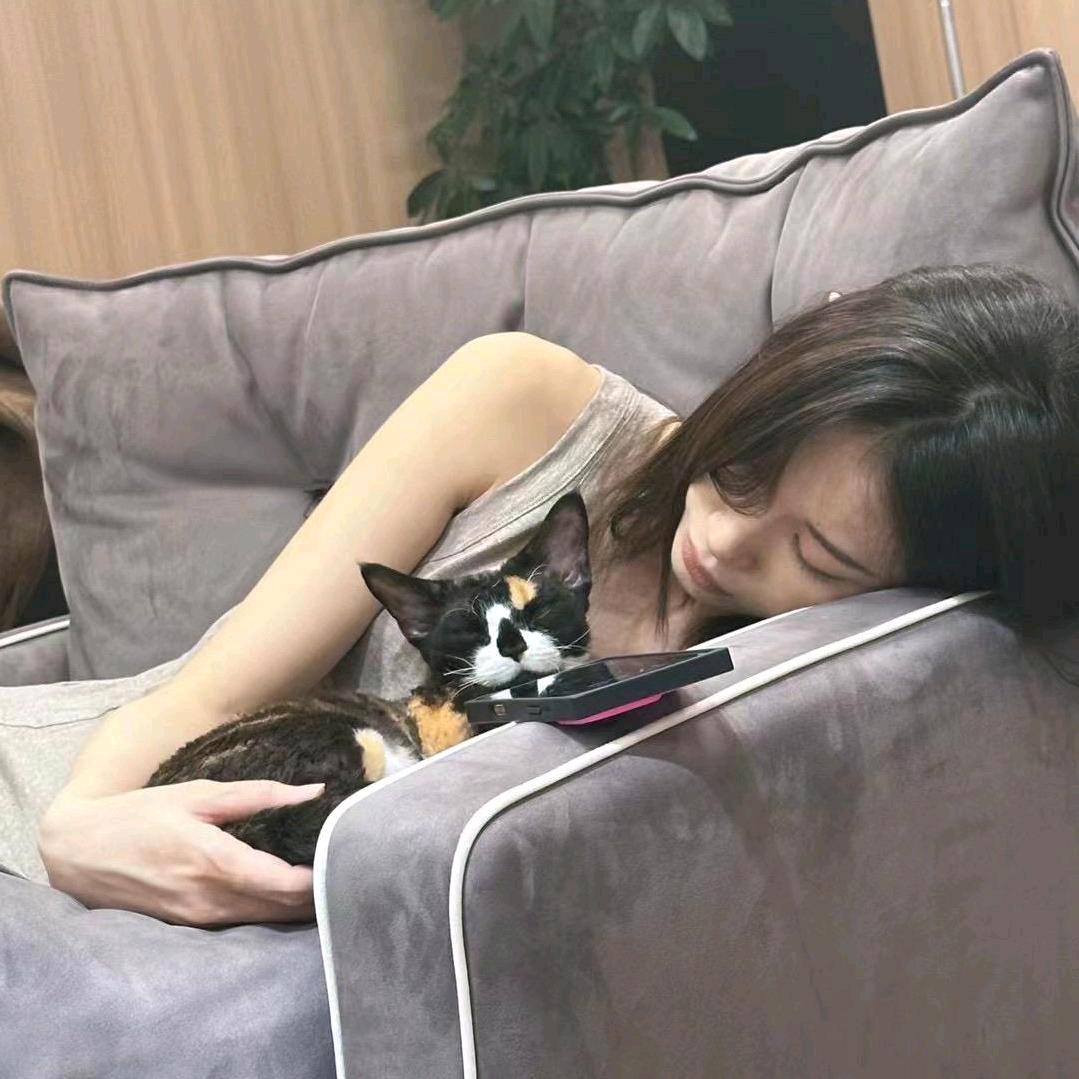 不理理的穿搭日记