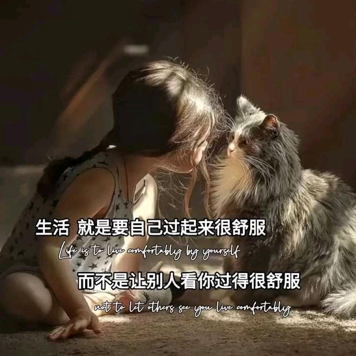 菲菲qfx