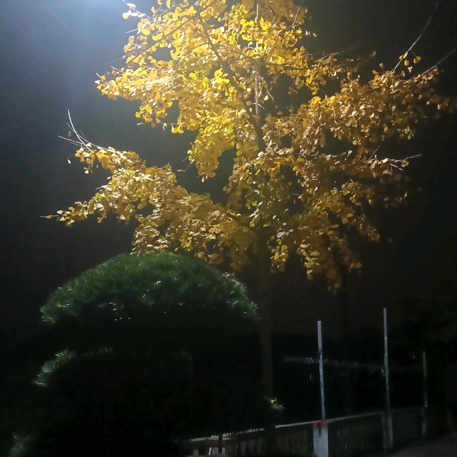 知足常乐