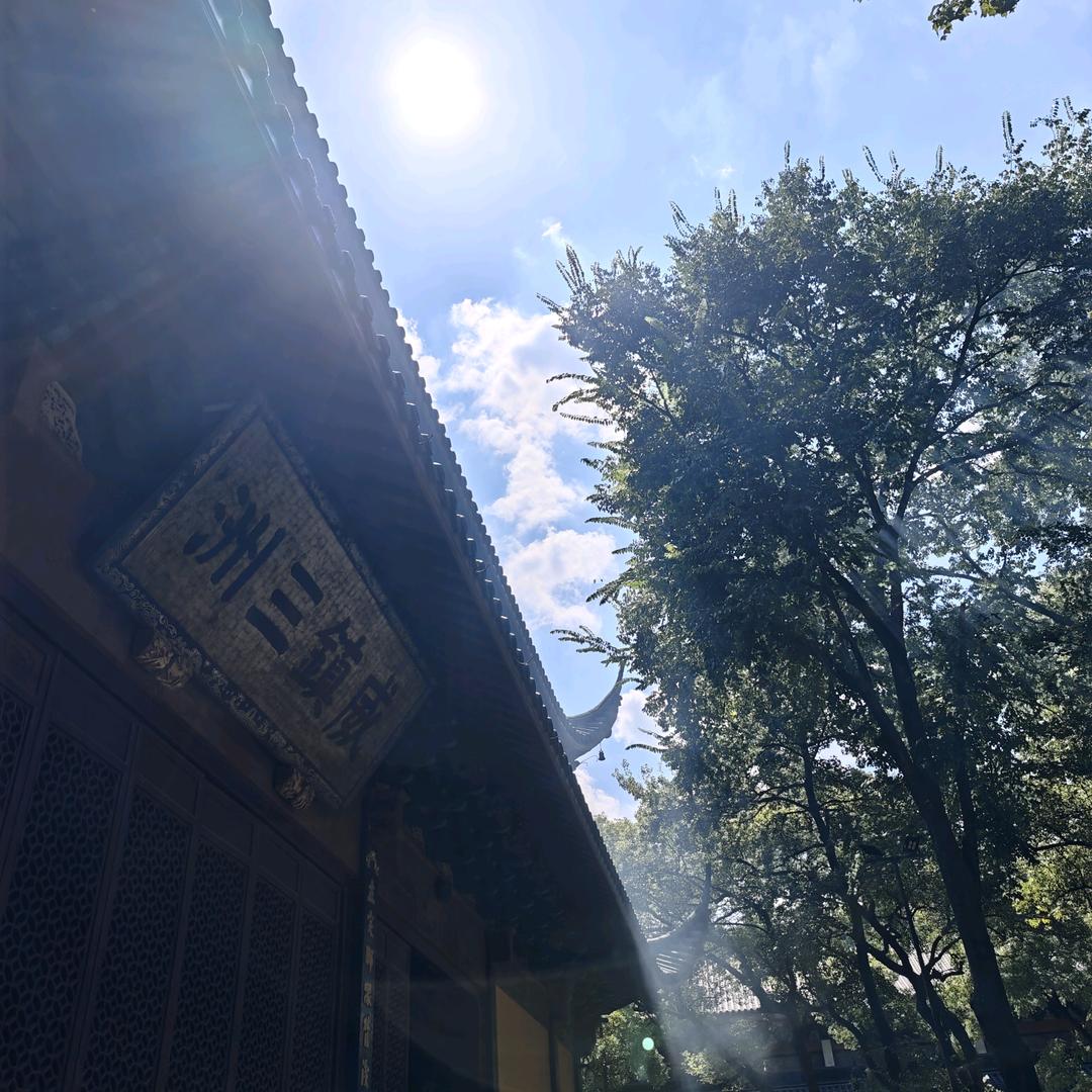 驰晟月