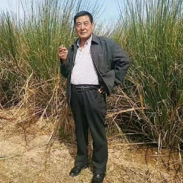 淡淡的回忆
