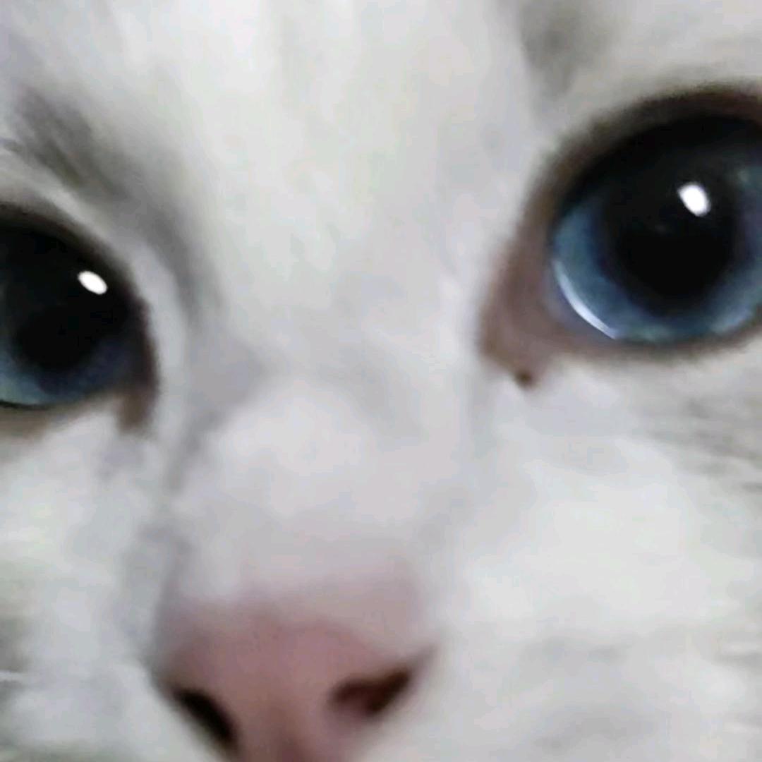 柒柒柒柒柒
