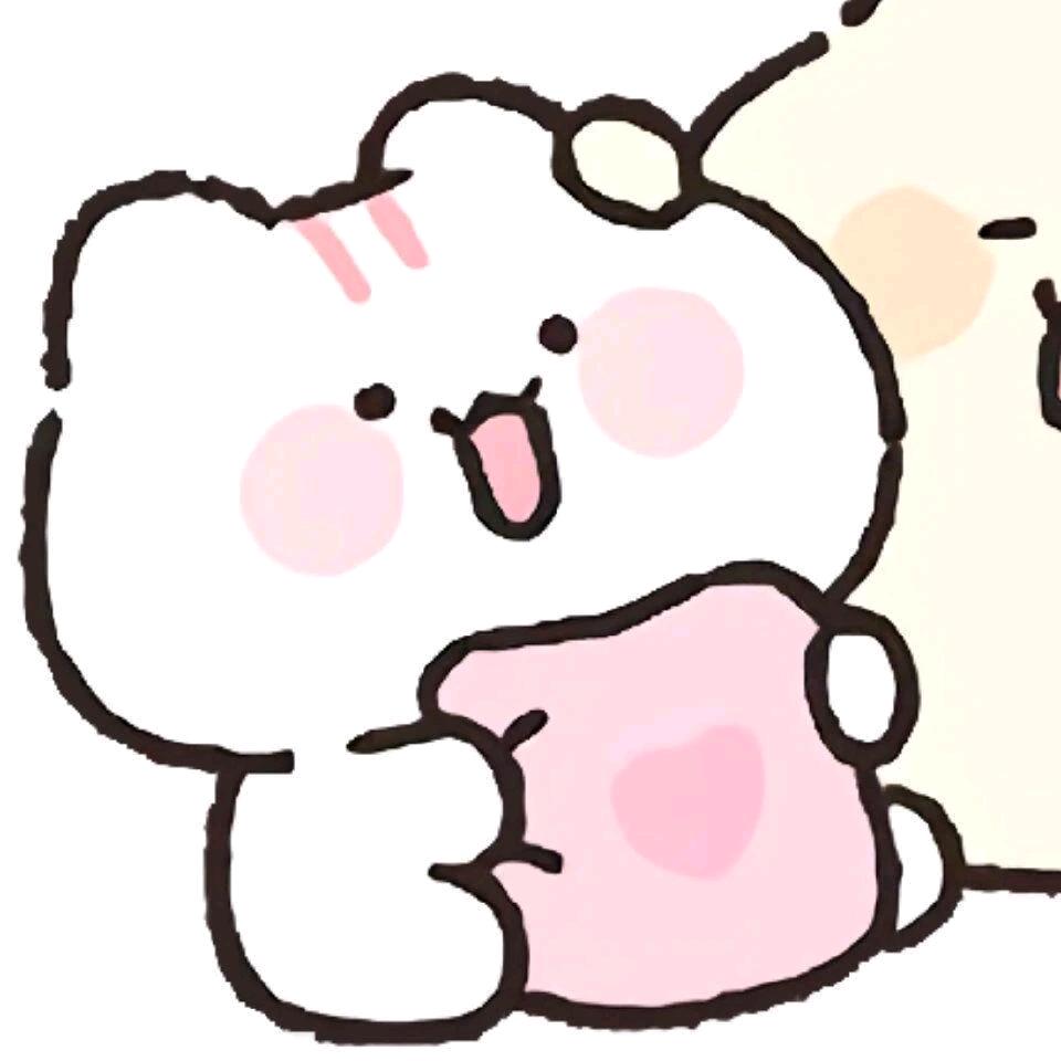 巷子里的猫.