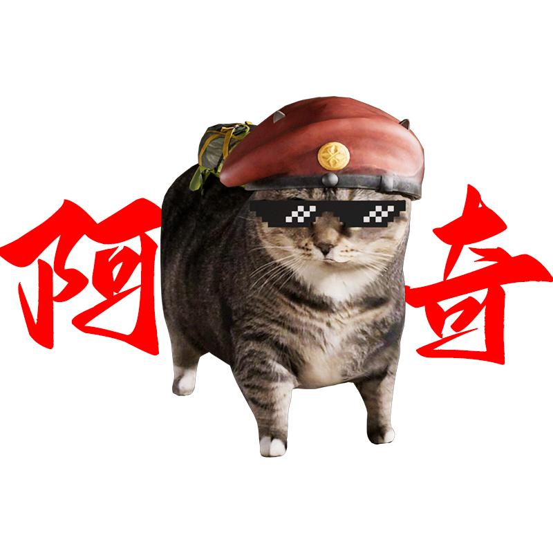 暗区阿奇
