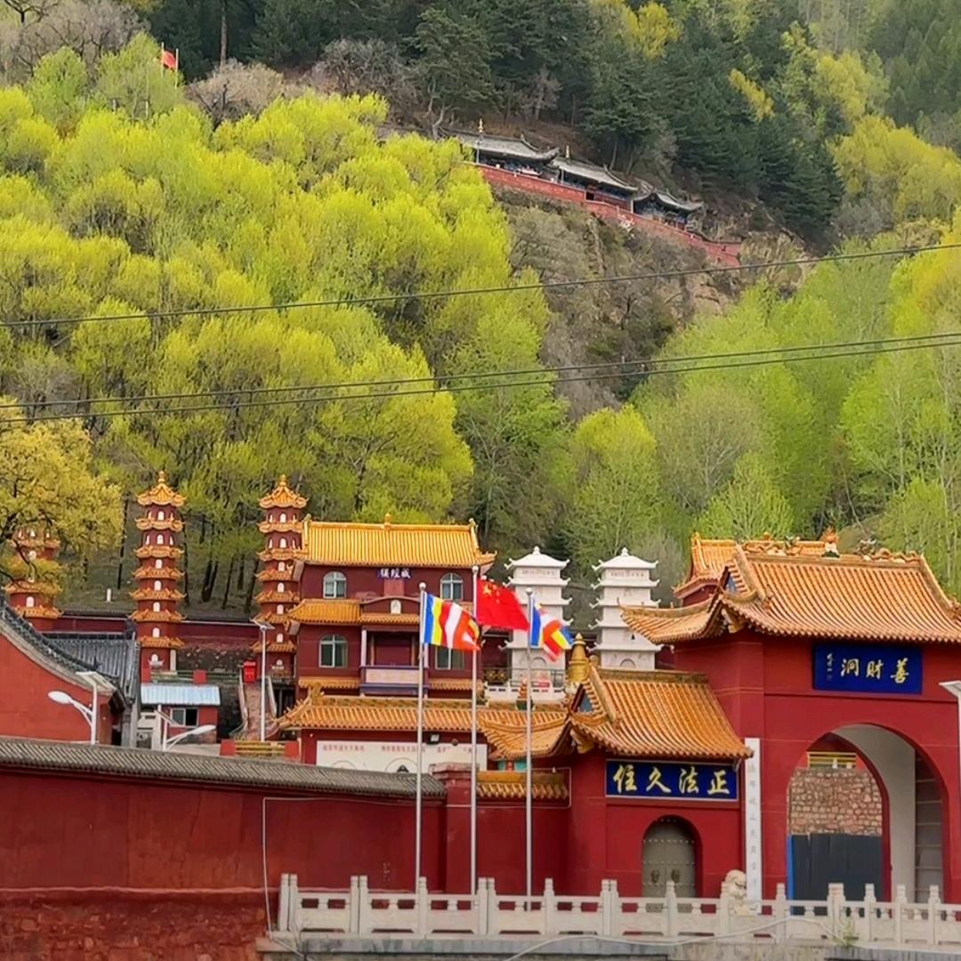 五台山可乐车辆🚗预约