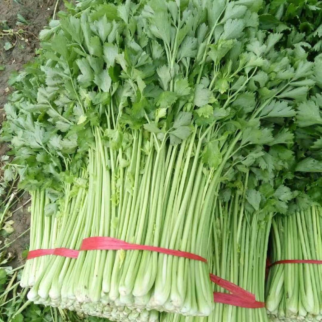 刘帅