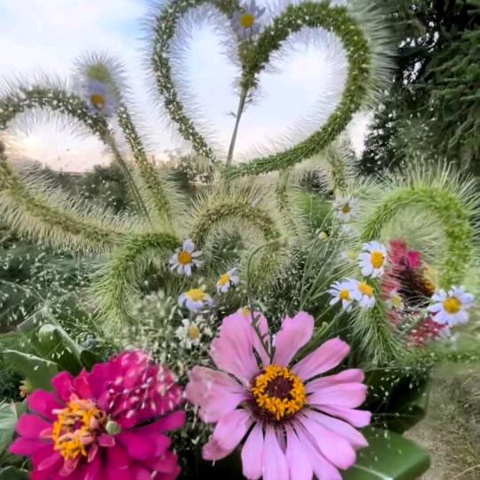 @᭄半颗💞星辰ꦿᩚ: