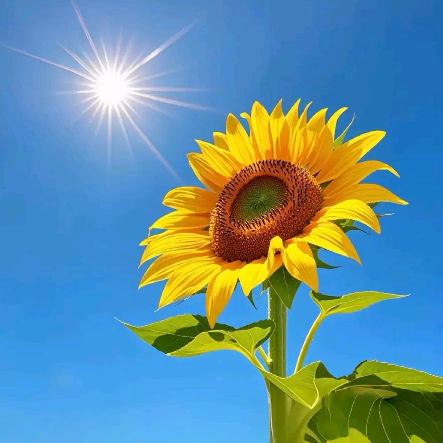 吕姐·好物分享