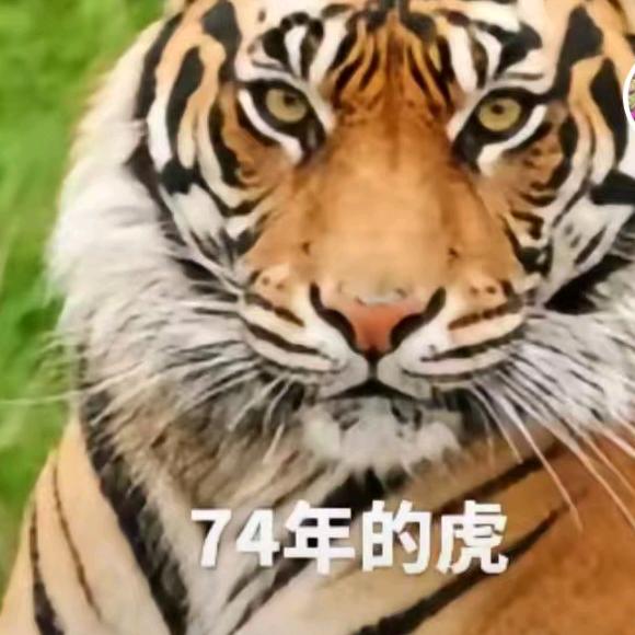 不要谜恋哥，哥只是传说