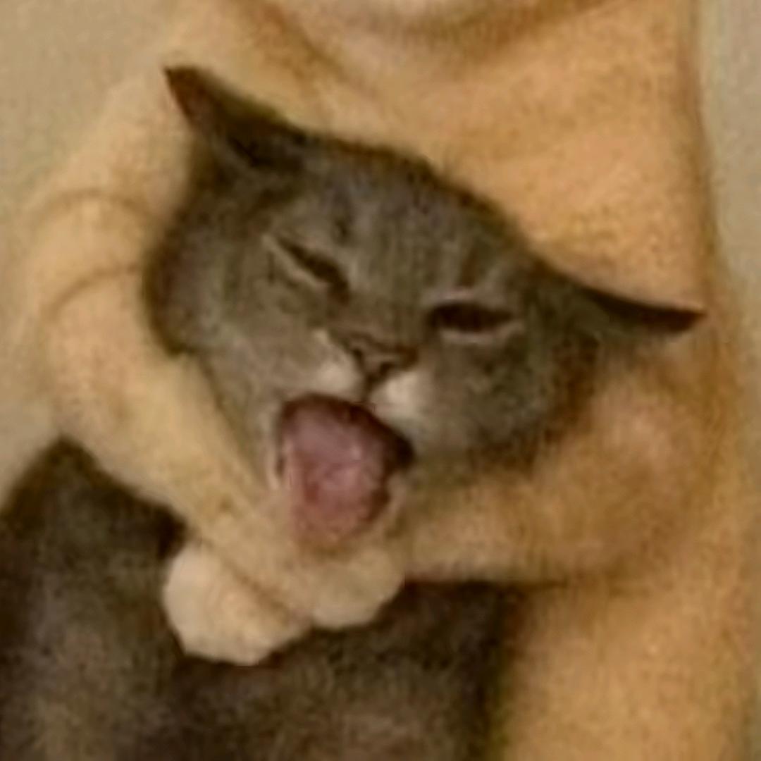 君君永远的避风港