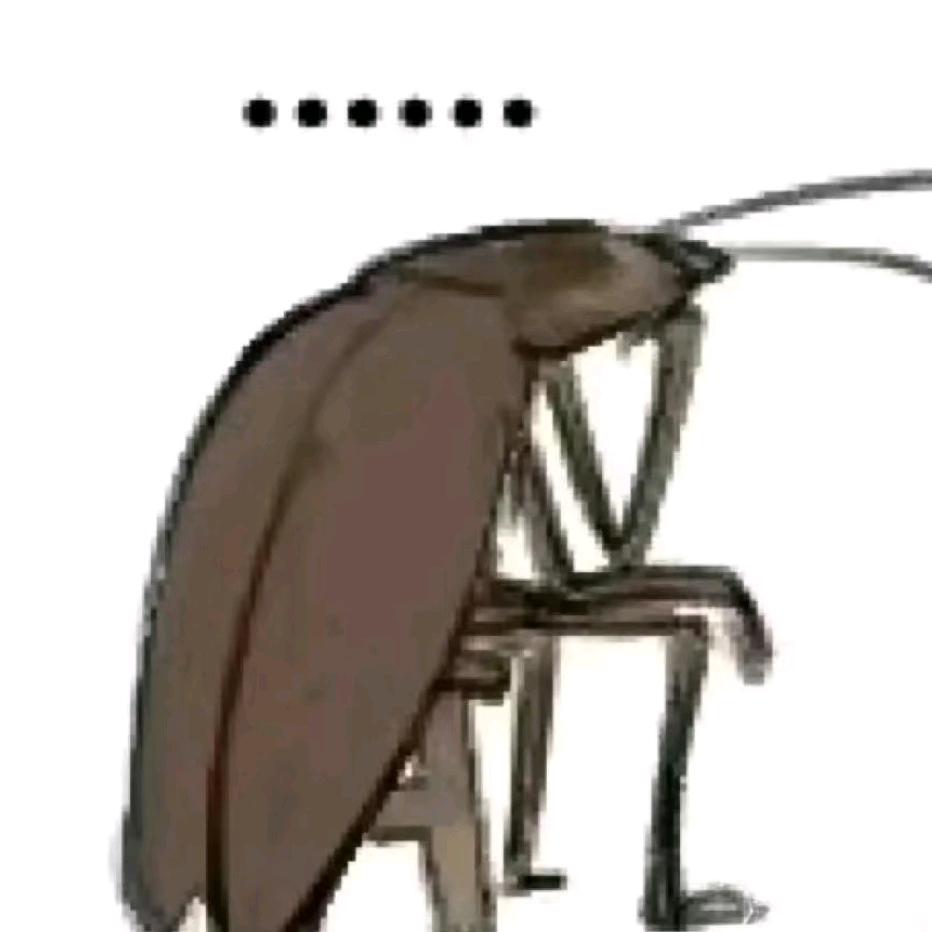 savoki